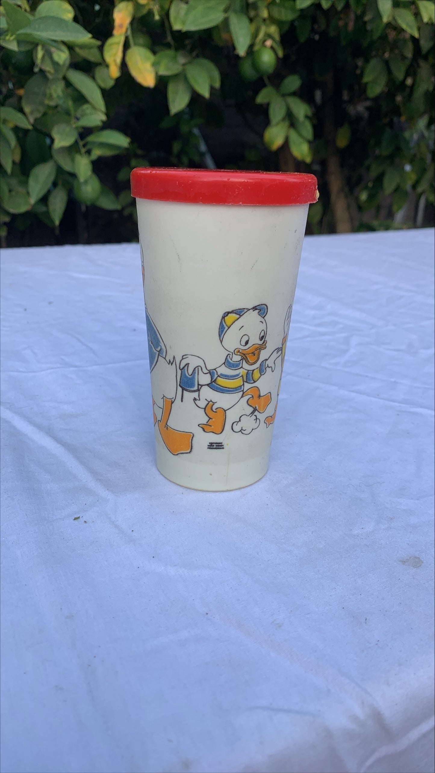 Donald Duck cup