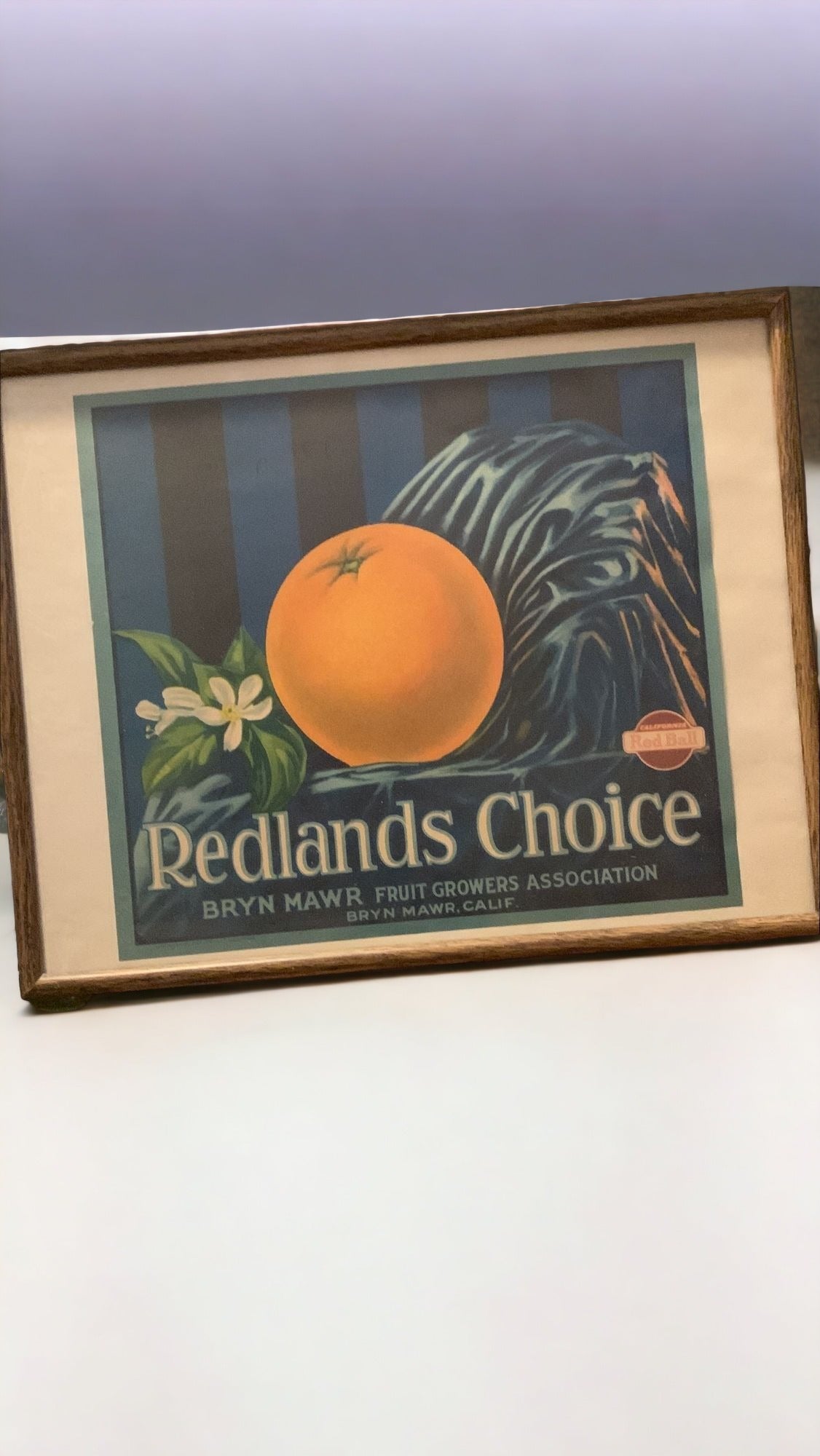 Redlands Choice