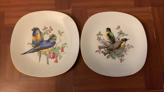 Crown Floral Bird Plates